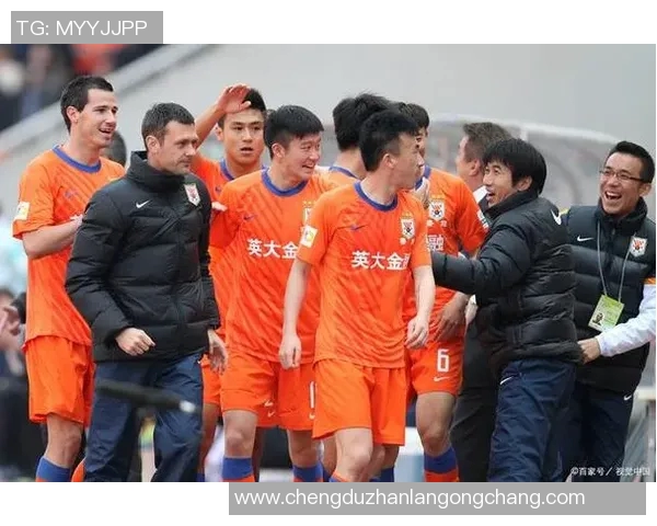 鲁能与国安赛场冲突引发球迷热议背后的深层次原因分析